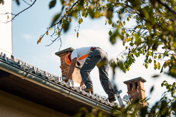 Quick and Trustworthy Emergency Roof Repair Services in Williamsport, OH